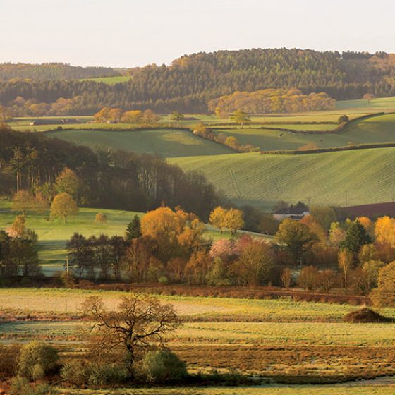 Our Story Houses for sale in Devon Devonshire Homes
