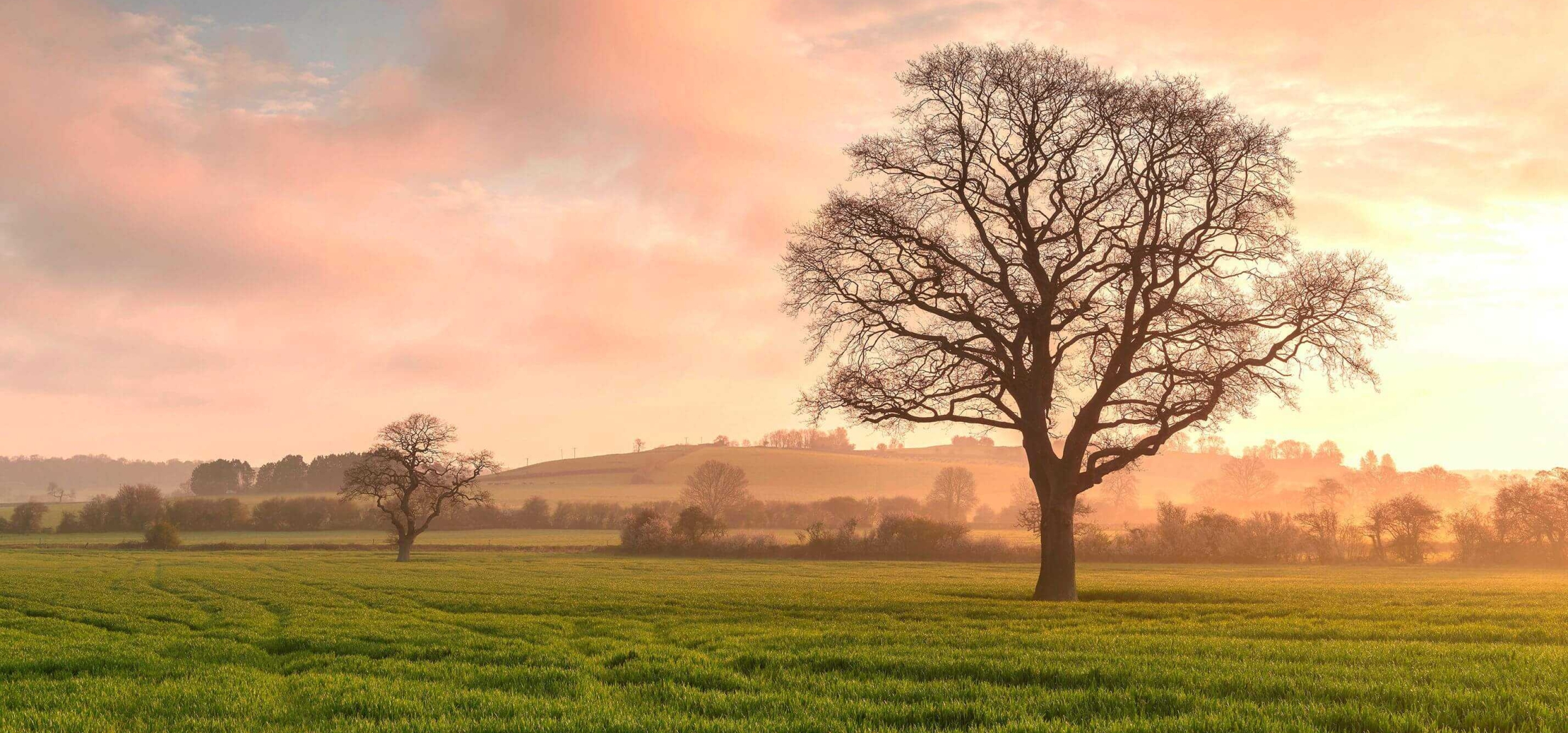 Dancing Green Wincanton Hero Sunrise Trees Rural Fields