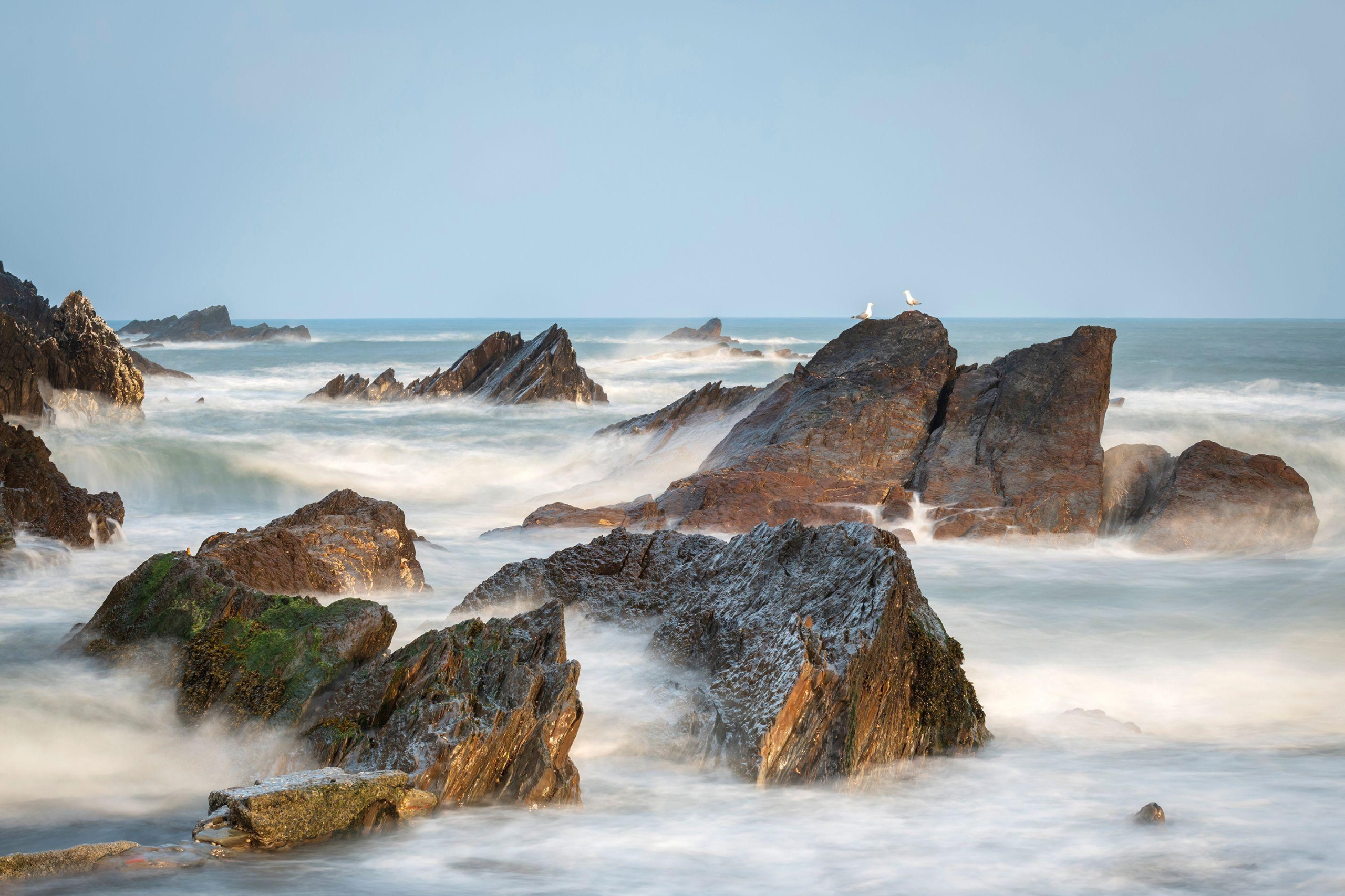 Mariner’s Haven Ilfracombe Dramatic Sea Coast with Seagulls on Rocks
