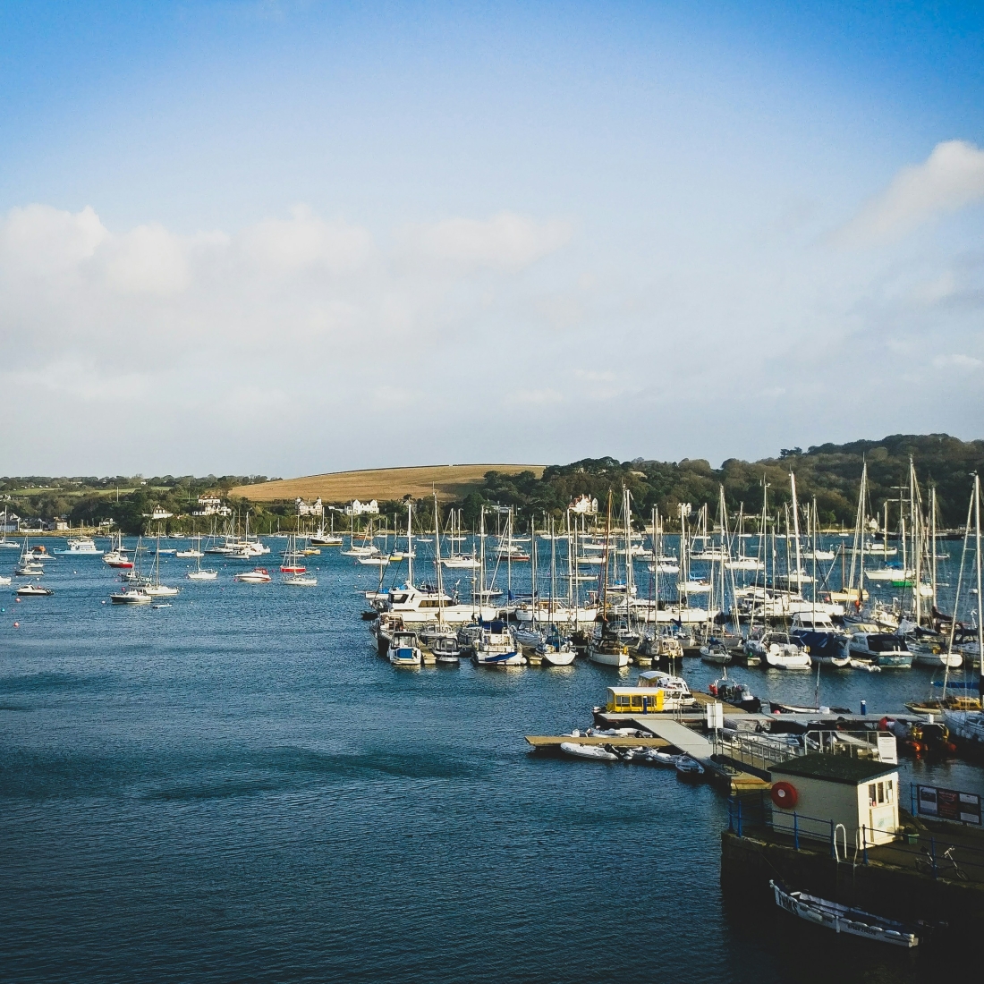 Falmouth Blog