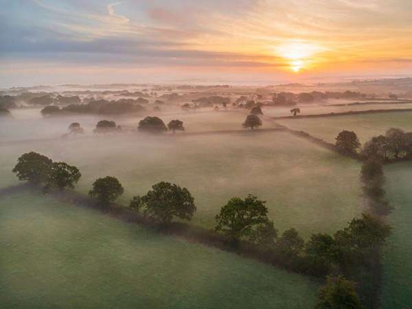 Chilla Junction, Halwill Junction - Rural Fields At Sunrise