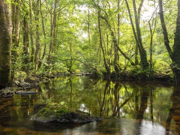 Longston Cross 2 Bovey Tracey List Tree Lined River Bovey