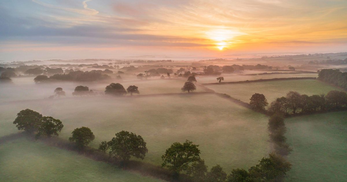 New Build Homes For Sale In Halwill Junction Chilla Junction