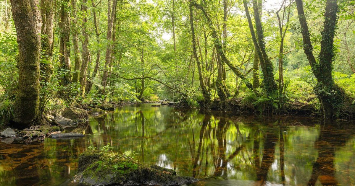 Devonshire Homes New Build Homes For Sale In Bovey Tracey Longston