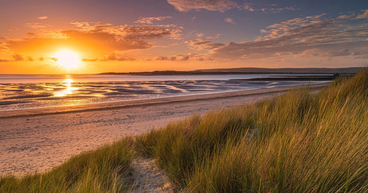 New Build Homes For Sale In Yelland Sun Houses Devonshire Homes